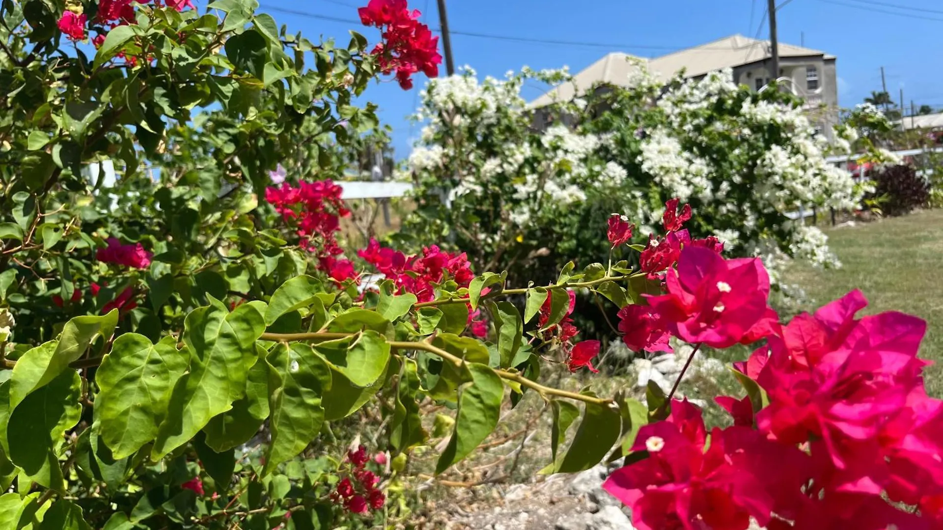 Abbe Garden Hideaway Apartment Saint Philip
